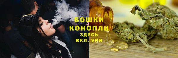молекула духа Бородино