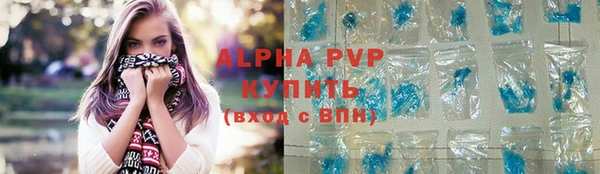 молекула духа Бородино