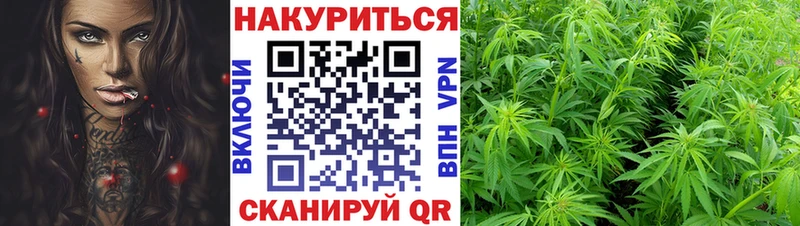 МАРИХУАНА SATIVA & INDICA  Меленки 